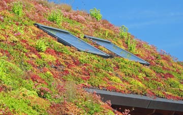 Lower Penwortham living roof systems